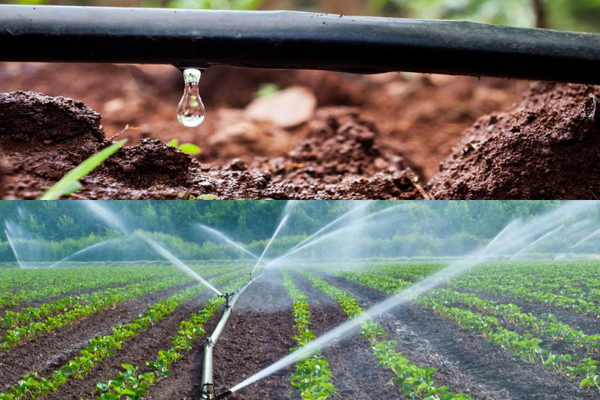 Drip Irrigation